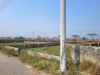 Plot Price For Sale in Bashundhara Residential